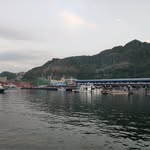 lance_chen_225